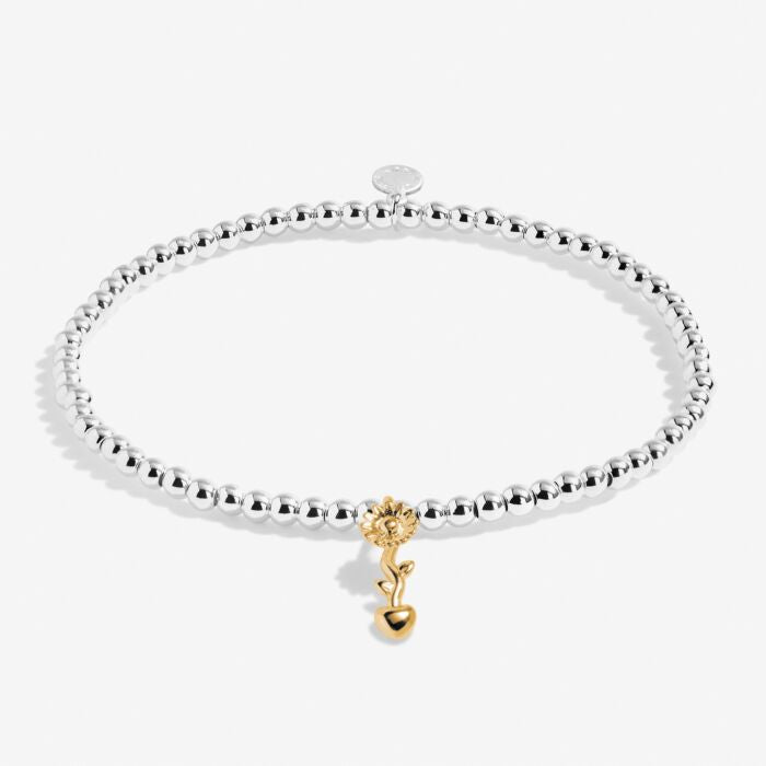 A Little 'Teachers Plant Seeds That Grow Forever Bracelet In Silver And Gold-Tone Plating